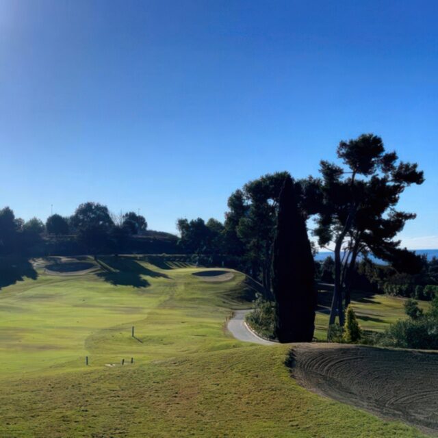 Market Analysis and Research