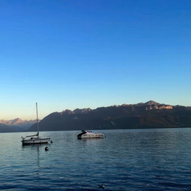 Business Analysis and Review